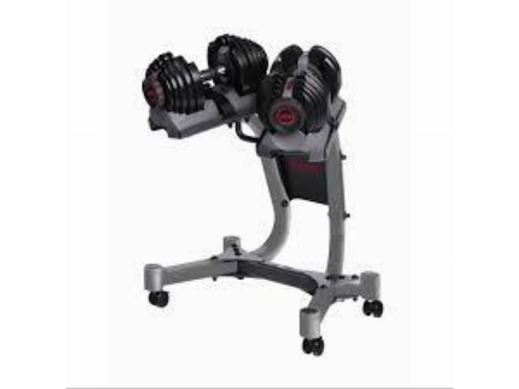 Ad Bowflex Dumbbell Set 24 Kg (2 Dumbbells + Rack)