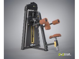 NEU: POWER STATION LATERAL RAISE - DHZ Fitness Seithebemaschine Evost I Serie