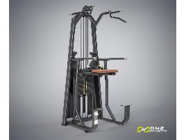 TOP POWER STATION DIP CHIN ASSIST Evost I - direkt vom Hersteller DHZ Fitness