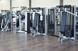 Diverse Gym80 Sygnum Kraftgeräte - Aufgearbeitet - wie NEU - Refurbished like NEW - Transport europaweit möglich