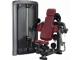 Bizepsmaschine der Marke Life Fitness - neu und gebraucht
