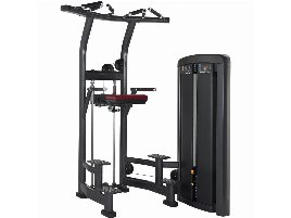 Klimmzug- und Dipmaschine der Marke Life Fitness - neu und gebraucht