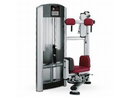 Rotationsmaschine der Marke Life Fitness - neu und gebraucht