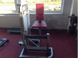 Wadenmaschine der Marke Life Fitness - neu und gebraucht