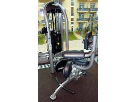Rotationsmaschine der Marke Matrix Fitness - neu und gebraucht