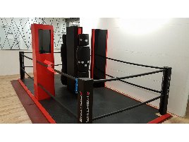 E-fighting Double Station, Box - Ring neuwertig, Kampfsport, TOP