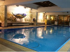 Mit Schwimmbad! Gesundheits- und Wellnessstudio im Süden Nürnbergs aus Altersgründen zu verkaufen!