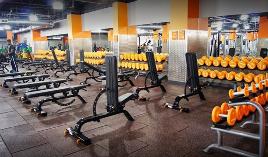 Sehr viel Precor (Paket) Cardio und Kraft über 190 Geräte!! Und Zubehör.