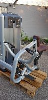Bauchmuskelmaschine und Rudermaschine der Marke Precor in neuwertigem Zustand, einzeln oder im Paket erwerbar