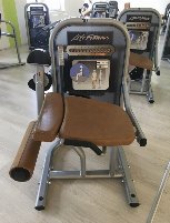 Life Fitness 95Ti treadmill, maintained, good condition, 15 available