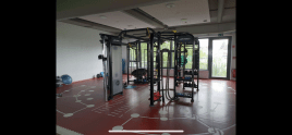 Life Fitness Käfig SYNRGY 360 XL System Tower Multifunktionaler Turm Cablecross Crossfit