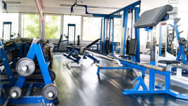 Various fitness equipment for sale! Fitness Equipment + Solarium