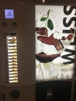 Professional protein machine Gerhardt for sale