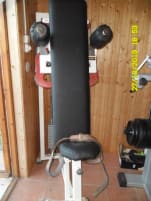 Technogym Dorsal (Rückentrainer), sehr selten, Direktimport Italien, Polster neu.