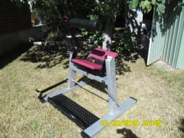 Fast plate loaded gear machine abdomen / back combination, static or dynamic power curve
