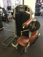 Technogym "Lower Back" strength machine, back muscles