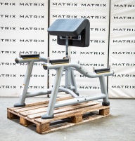 Matrix Fitness | Magnum Serie | Standing Arm Curl (MG-A71) aus Studioauflösung | Iced Silver | 2016
