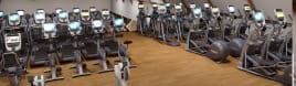 Precor Treadmills, Crosstrainers, AMT, Recumbent & Upright Bikes, auch zum Verkauf pro Stück!