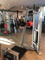 Gym 80 Sygnum Multi Hip / Kickmaschine / Hüftpendel, silber, gebraucht
