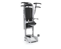 Matrix Fitness | Aura Serie | Dip/Chin Assist (G3-S60) | Iced SIlver