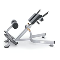Matrix Fitness | Aura Serie | Rückenstrecker (G3-FW52) | Platinum | 2016