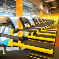 Life Fitness 95Ti Integrity - Treadmill REFURBISHED - AS NEW -in any color of your choice!