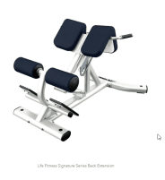 Life Fitness Signature Series - direct from the manufacturer; 2nd choice equipment