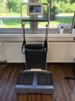 Vibration plate Wave Excellence gray