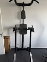 Professional BH RST leg lift / dips pull-up station Fitness Studio Gym
