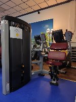 gebrauchte Bauchmuskel-Maschine der Marke Life Fitness