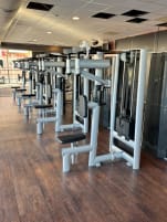 SALE ! GYM80 Sygnum 3025 Butterfly Reverse / 18 pieces in stock
