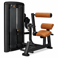 Life Fitness Insignia Series Back Extension – Generalüberholt | Wunschfarbe | Garantie