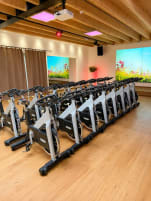 16 Technogym Group Cycle indoor bikes with magnetic brakes – manufactured in 2013 – fully functional