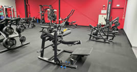 12 x Matrix Magnum plate loaded Geräte - Top Zustand