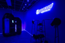 ANTARCTICA Elektrische Ganzkörper-Kältekammer – Baujahr 2025