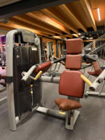 Delts Machine Technogym