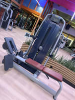 Pulley / Ruderzug Technogym