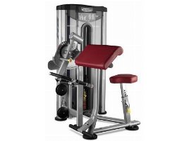 BH FITNESS Bizeps & Trizeps Maschine (Dual-Funktion) L140